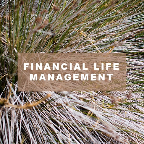 financial life management button